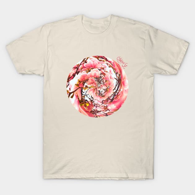 Magnolia T-Shirt by Owen St Merch